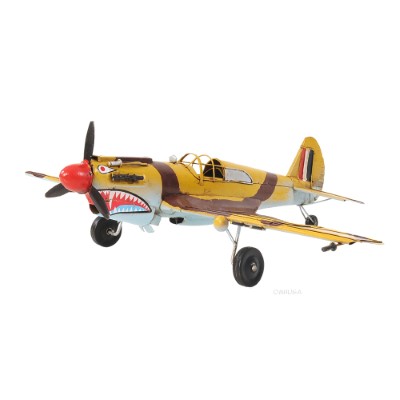 1941 Curtiss Hawk 81A 1:29