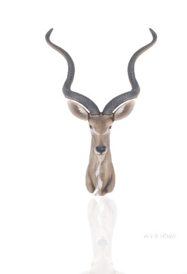 Anne Home - Antelope Head Wall Decorative