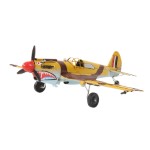 AJ004 1941 Curtiss Hawk 81A 1:29 