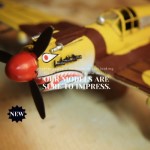 AJ004 1941 Curtiss Hawk 81A 1:29 