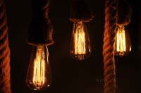 AL004 Medusa Pendant Lamp - 6 bulbs 