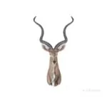 AT001 Anne Home - Antelope Head Wall Decorative at001-anne-home-antelope-head-wall-decorative-l03.jpg
