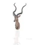 AT001 Anne Home - Antelope Head Wall Decorative at001-anne-home-antelope-head-wall-decorative-l04.jpg