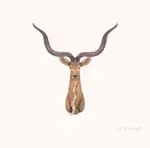 AT001 Anne Home - Antelope Head Wall Decorative at001-anne-home-antelope-head-wall-decorative-l06.jpg