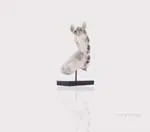 AT004 Anne Home - Horse Head Statue at004-anne-home-horse-head-statue-l03.jpg