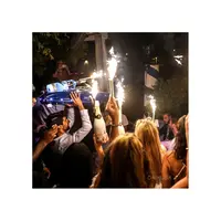 B331 Grey Goose b331-grey-goose-l25.jpg
