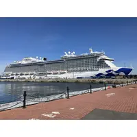 CM534 American Discovery Princess (Royal-Class) Cruise Ship 36 Inches Model cm534-american-discovery-princess-royalclass-cruise-ship-36-inches-model-l02.jpg