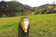 K004 Handmade Wooden Kayak 15 Feet k004-handmade-wooden-kayak-15-feet-l07.jpg