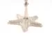 ND057 Star Fish Candle Holder nd057-star-fish-candle-holder-l04.jpg