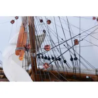 PTD001 Wood Deadeye ptd001-wood-deadeye-l02.jpg
