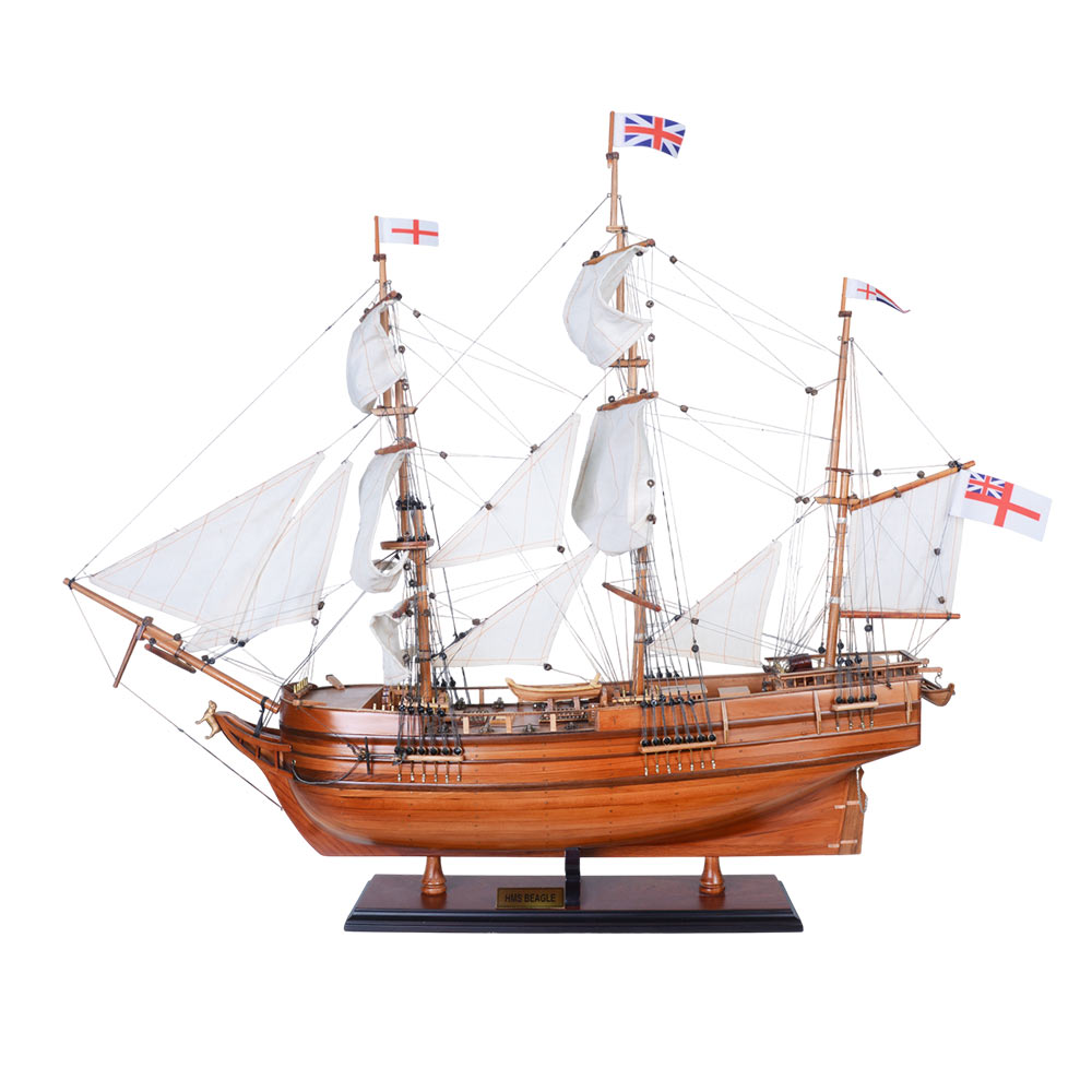 T289 Beagle Ship Model Admiral Line t289-beagle-ship-model-admiral-line-l0128082026.jpg