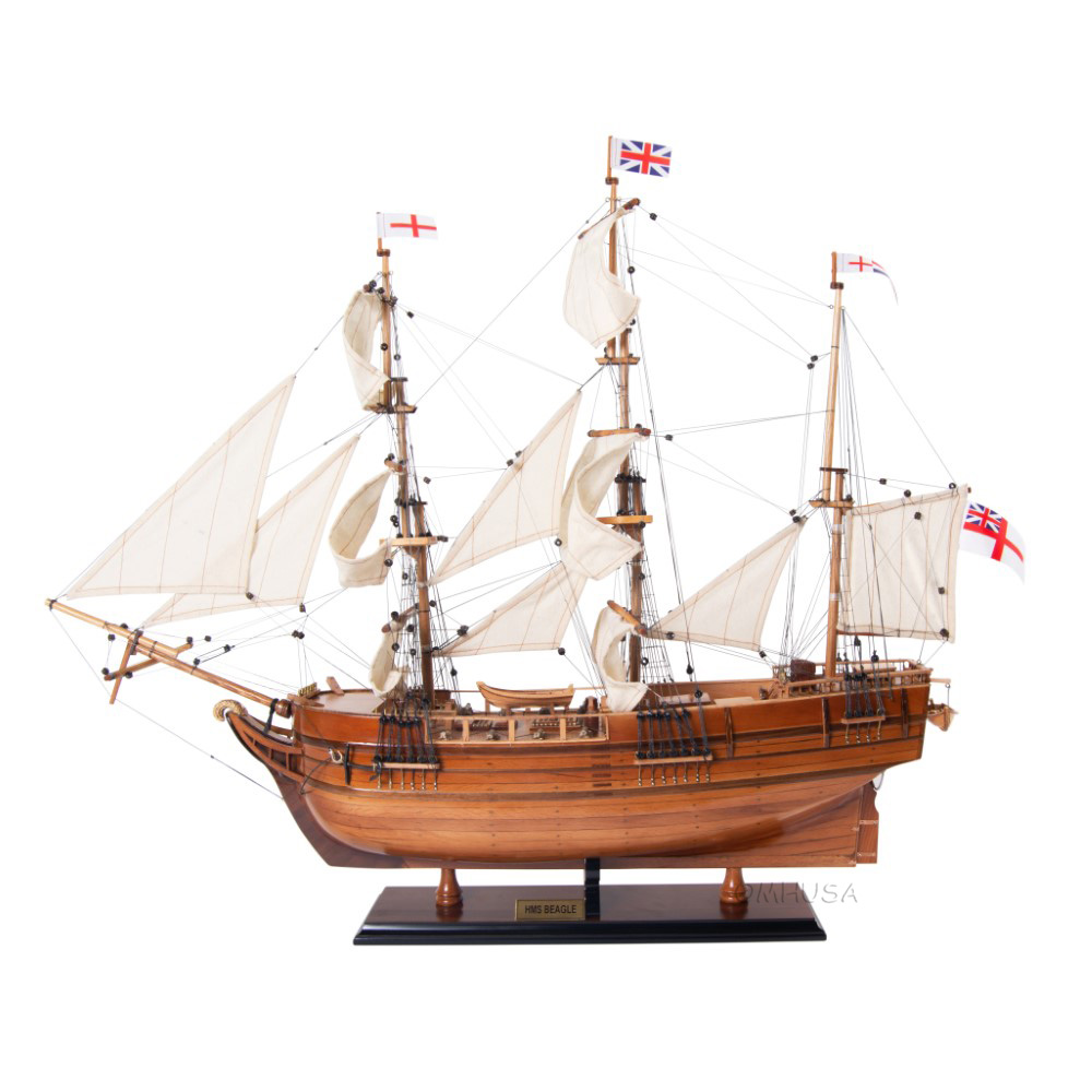 T289 Beagle Ship Model Admiral Line t289-beagle-ship-model-l01.jpg