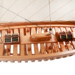 Y224 Shamrock Open Hull Y224-Shamrock-(see-through)-L03.jpg