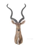 Anne Home - Antelope Head Wall Decorative