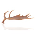 Anne Home - Deer Antler Tray