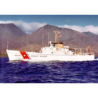 USCGC Cape Fox (WPB-95316) 30 Inches L Ship Model