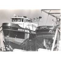 USCGC Bollard (WYTL-65614)  36 Inches L Ship Model